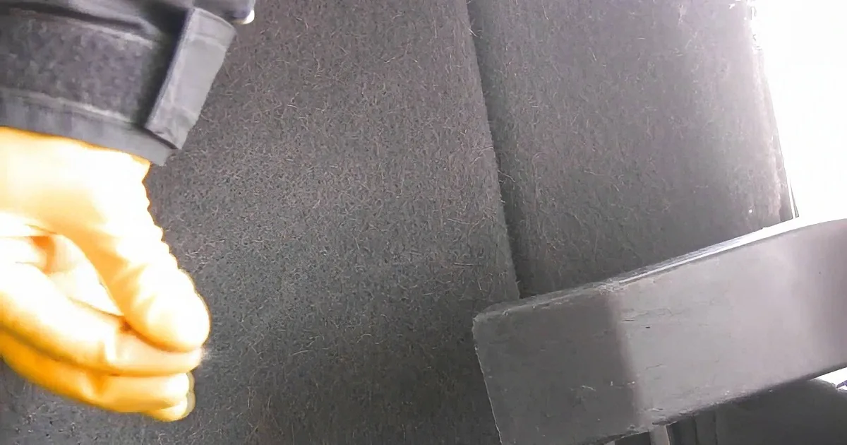 This Simple but Amazing Trick Is the Quickest and Easiest Way to Remove Dog Hair From Your Car