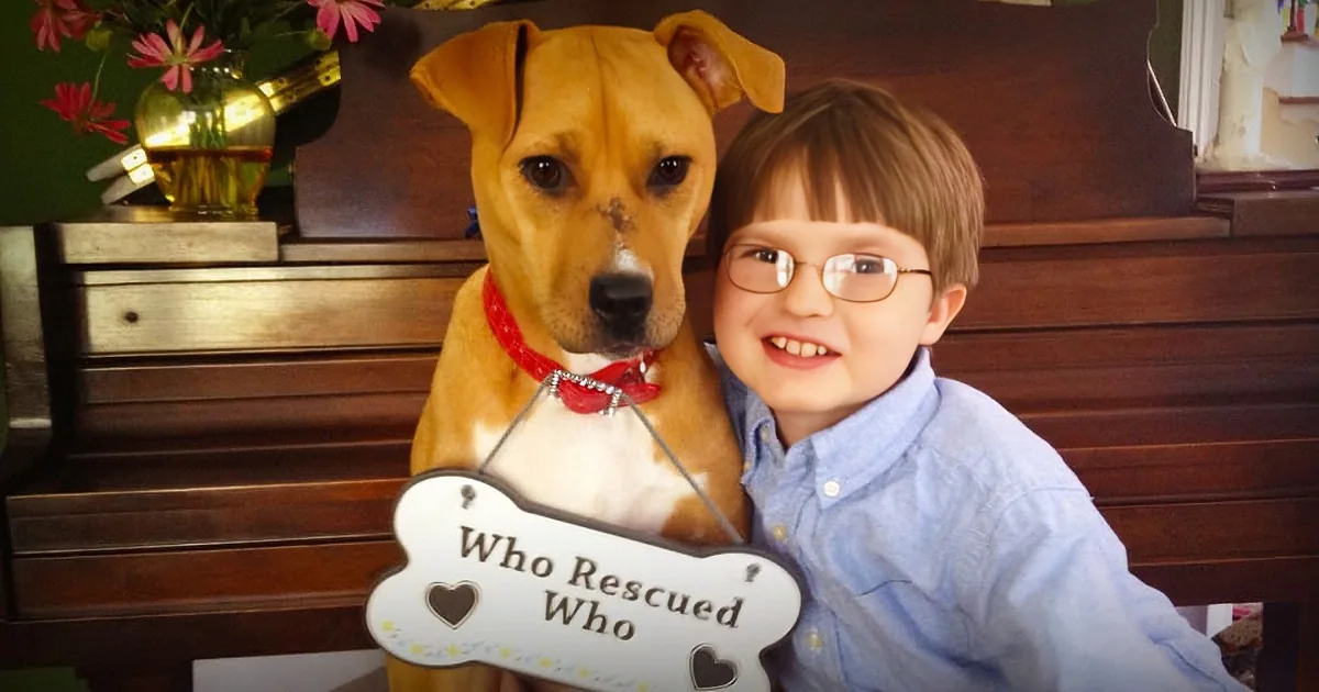 Mom Brings Home a Rescued Pit Bull. When the Dog Meets Their Autistic Son, Magic Happens!