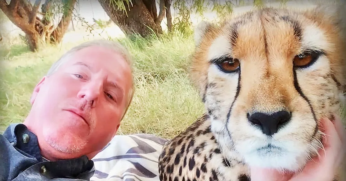 Man Was Napping in the Shade Under a Tree, When a Cheetah Came up and Did the Weirdest Thing