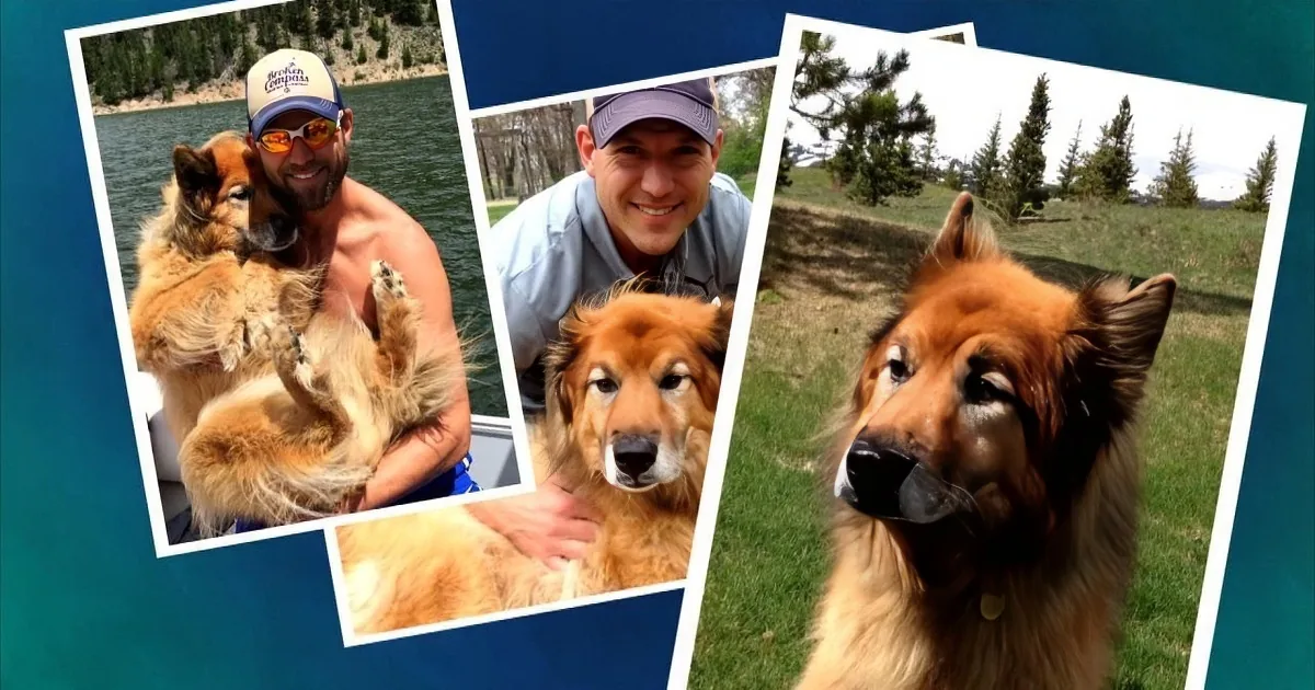 A man with a beard smiles while holding a fluffy brown dog against his shoulder in a scenic outdoor setting.