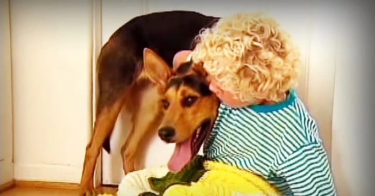 A child in a striped shirt hugs a dog with a pink tongue sticking out.