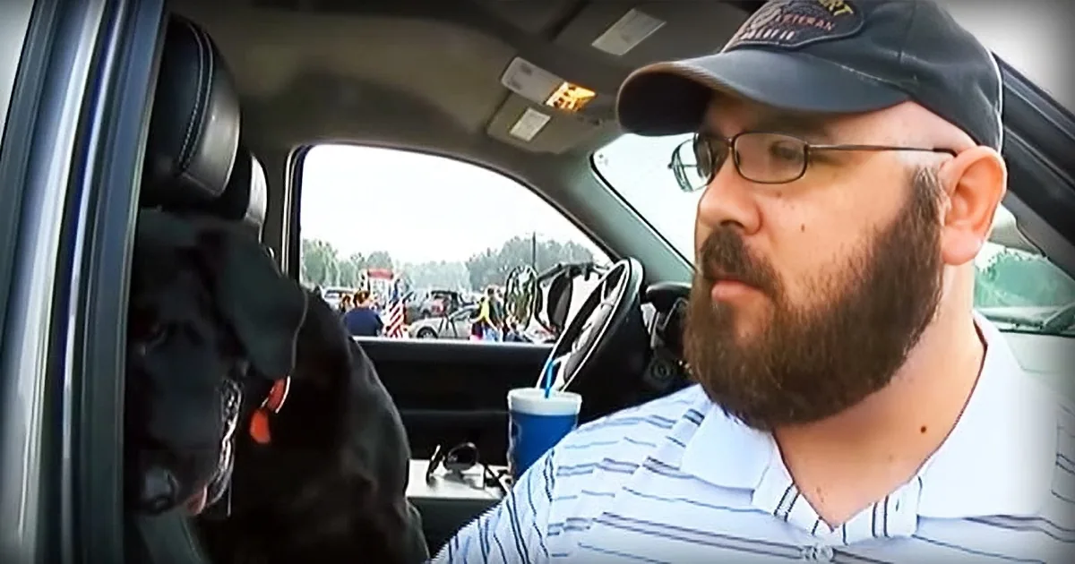 He Is About to Put His Senior War Dog to Sleep When a Group of Bikers Show Up