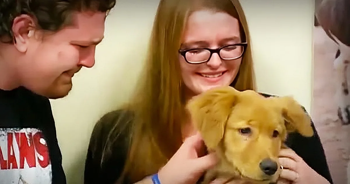 Woman Hears Dog Cries, Tracks the Noise to Her Neighbor''s Apartment and Saves Abused Puppy