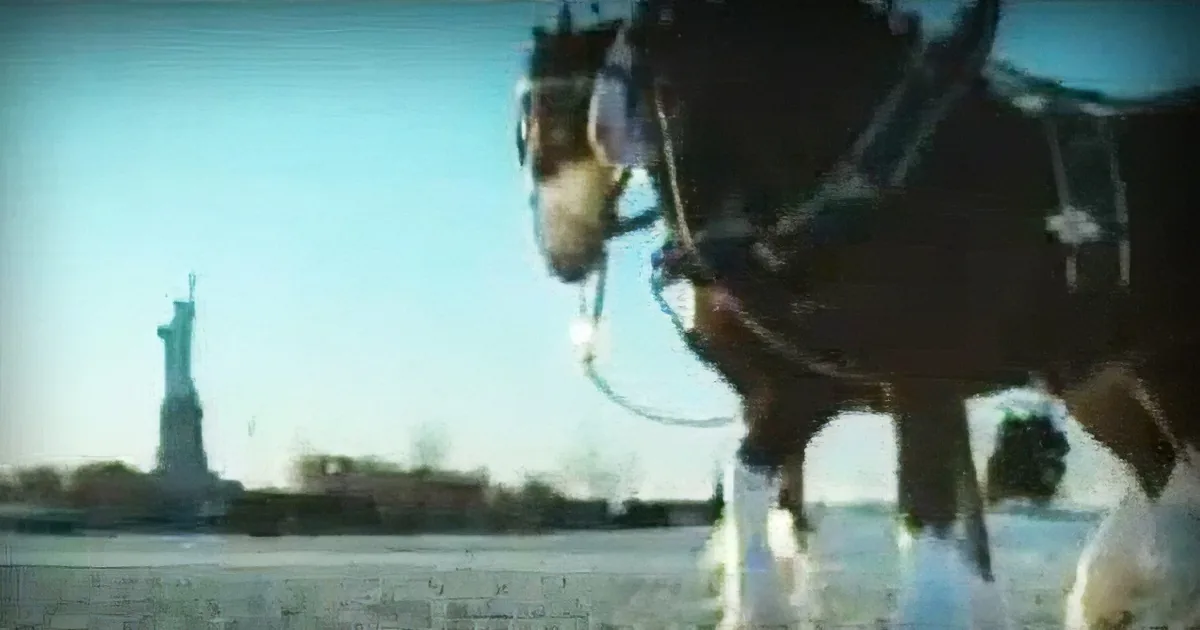 This Emotional Commercial Was Only Shown Once Before It Was Pulled off the Air