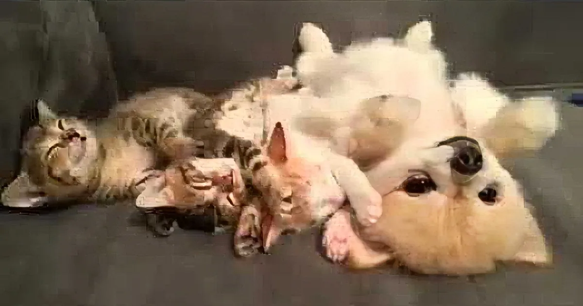 Puppy Doesn''t Want to Wake the Sleeping Kittens, Now Watch What She Does.