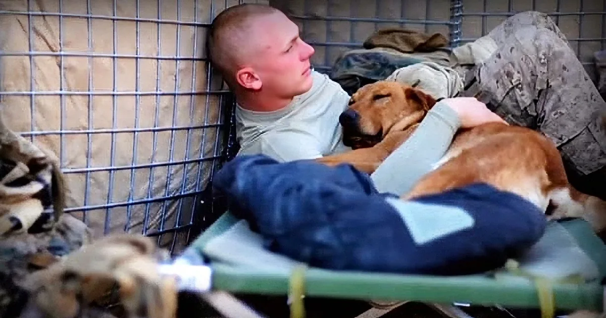 Soldier and Hero Dog Serve Together in War. Two Years Later, They Are Finally Reunited