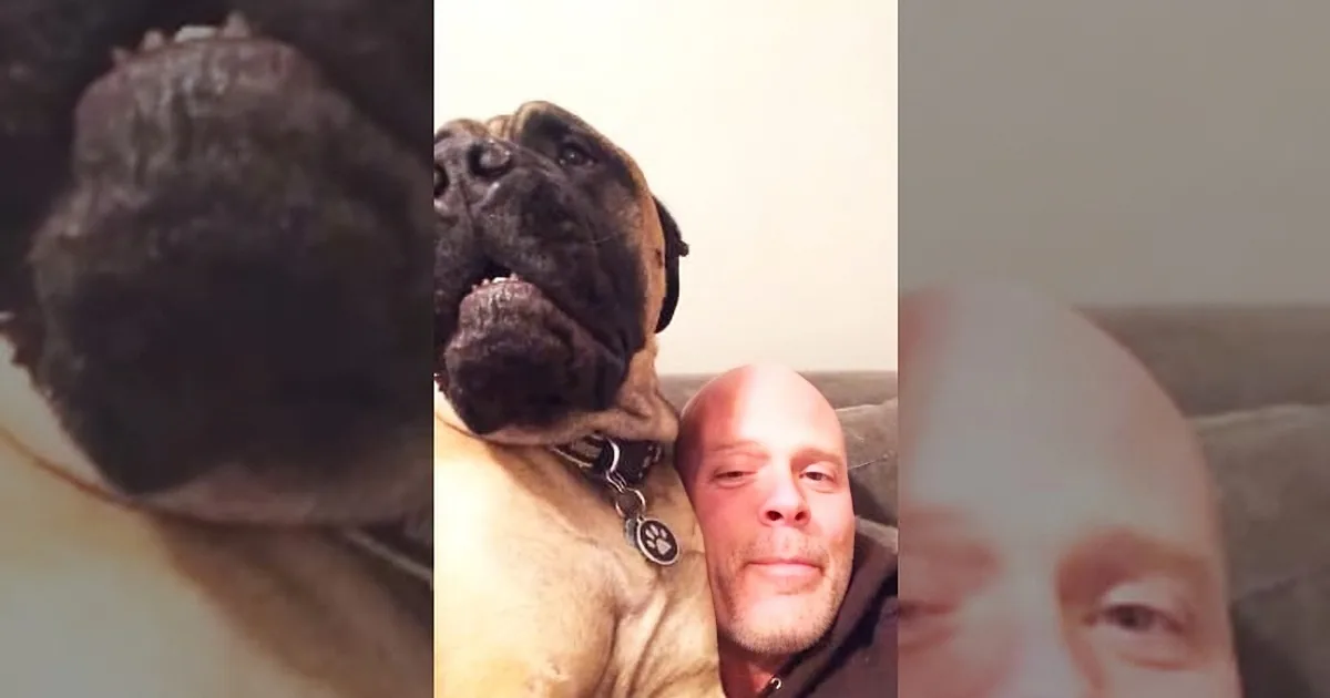 He Asks His Dog if He Likes Christmas Songs. the Little Grinch Has a Hysterical Tantrum