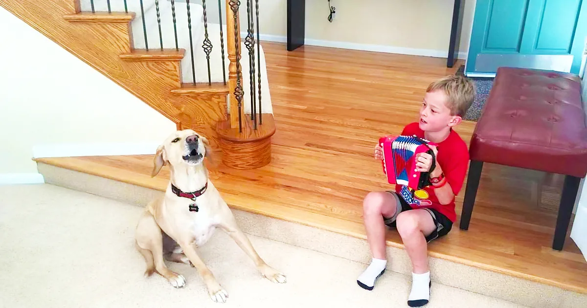 A boy plays a toy accordion while a dog sits on the floor, both on a wooden staircase.