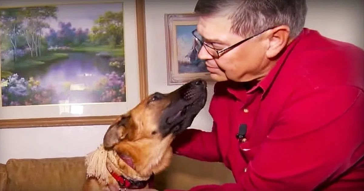 Dog Dumped at Shelter for Being Too Depressed, Watches Family Adopt a Happier Puppy