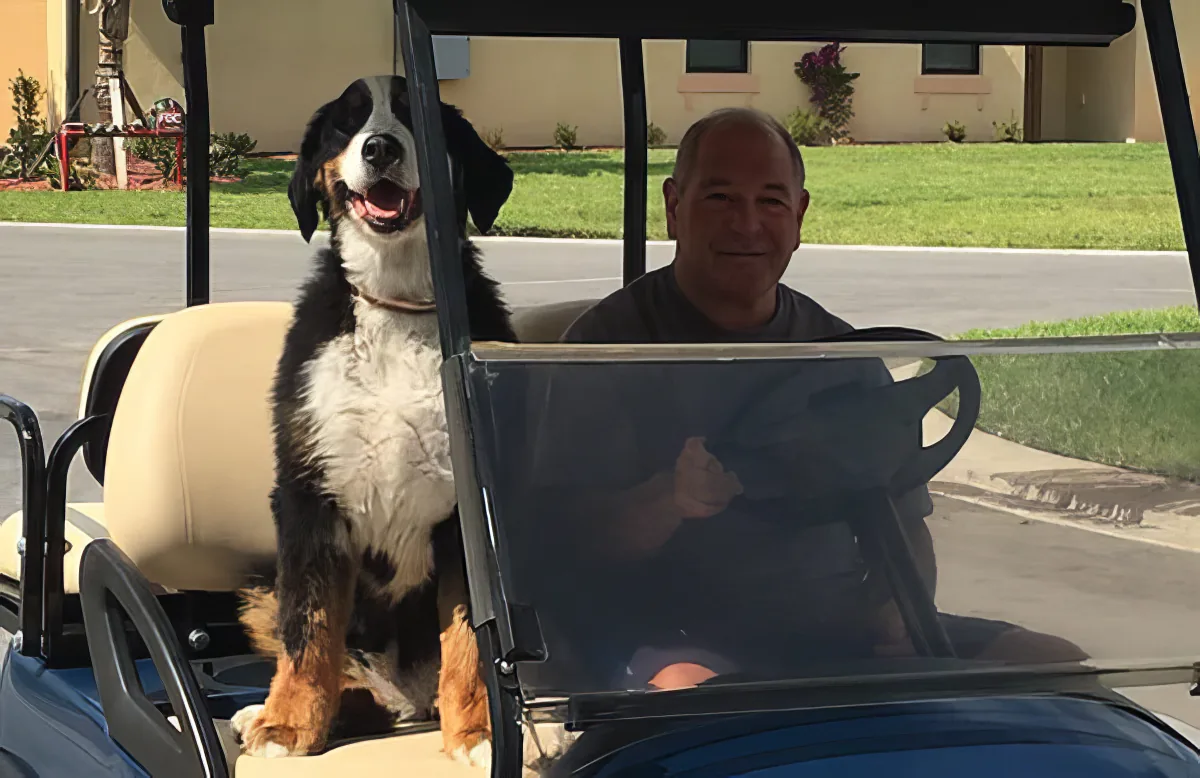 A happy dog sits in a golf cart with a man behind the wheel, both smiling.