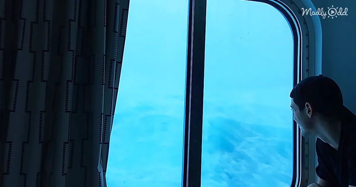 Scary Footage Shows Giant Wave Crashing Into Cruise Ship as Passengers Look out Window