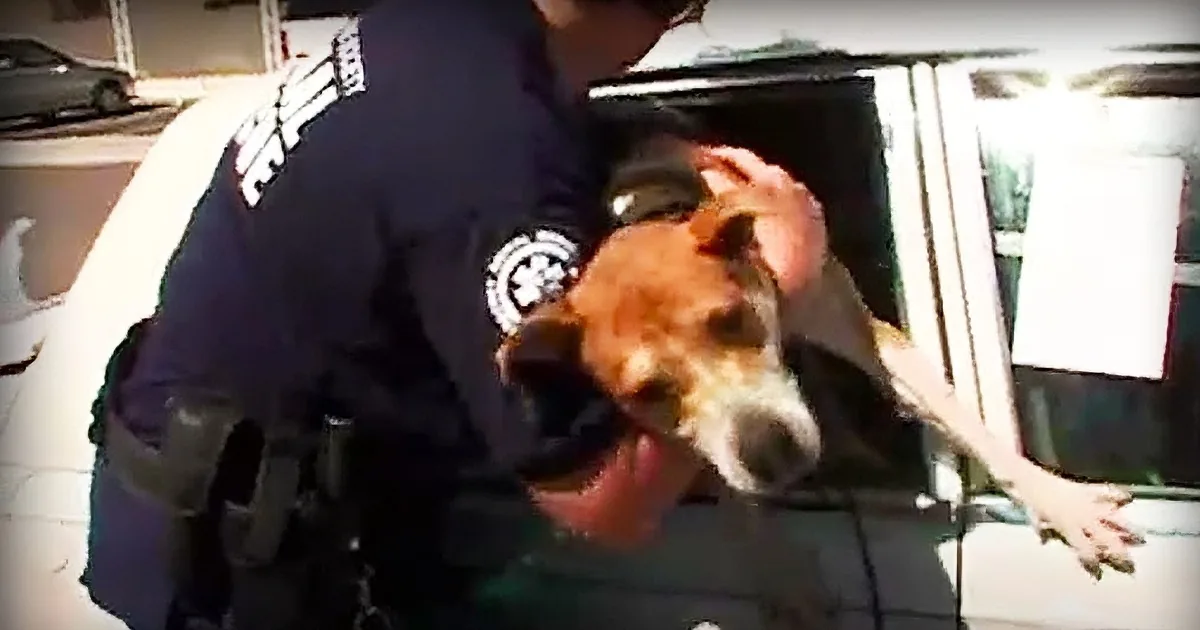 A police officer pets a dog while another person holds the dog's head.