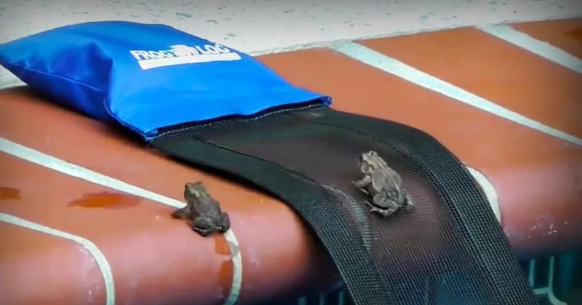 A blue and black bag lies on a tiled floor, with a small lizard or similar creature partially visible inside.
