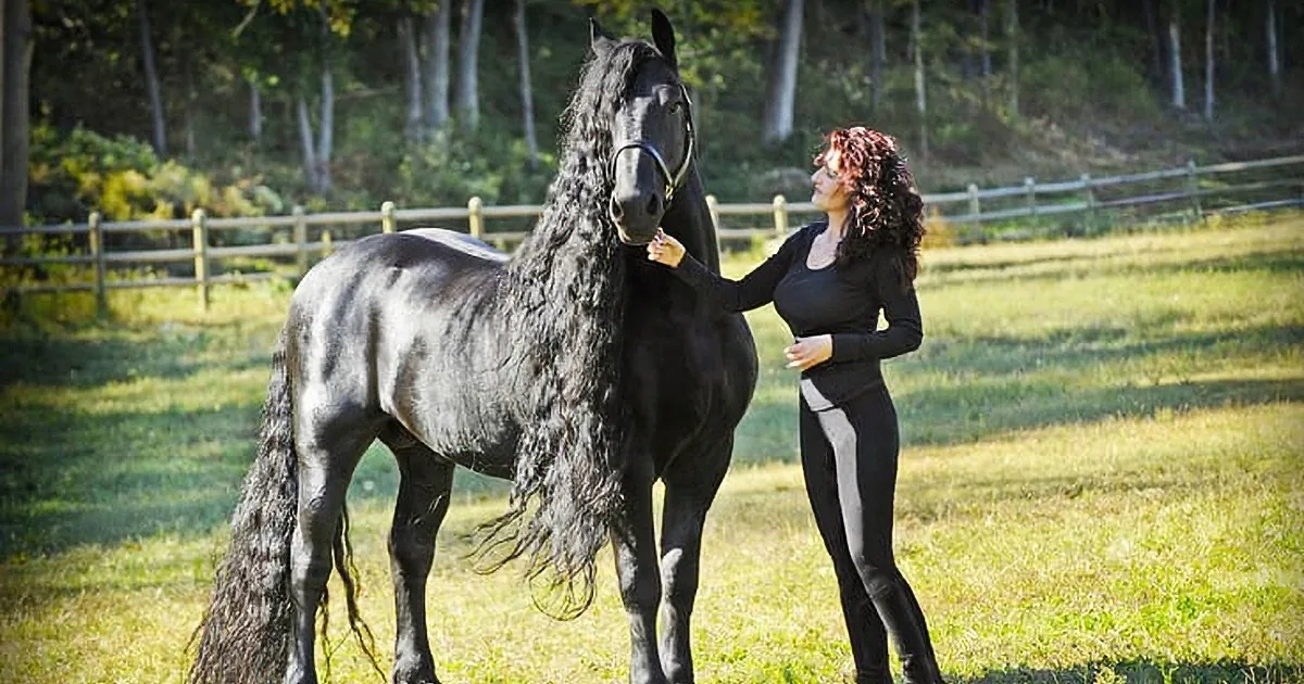 Meet the Most Photogenic Horse in the World