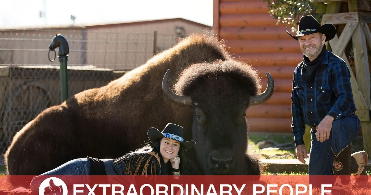 Rancher Sells All His Buffalo to Pay for Medical Bills, Keeps One and You Won''t Believe Why