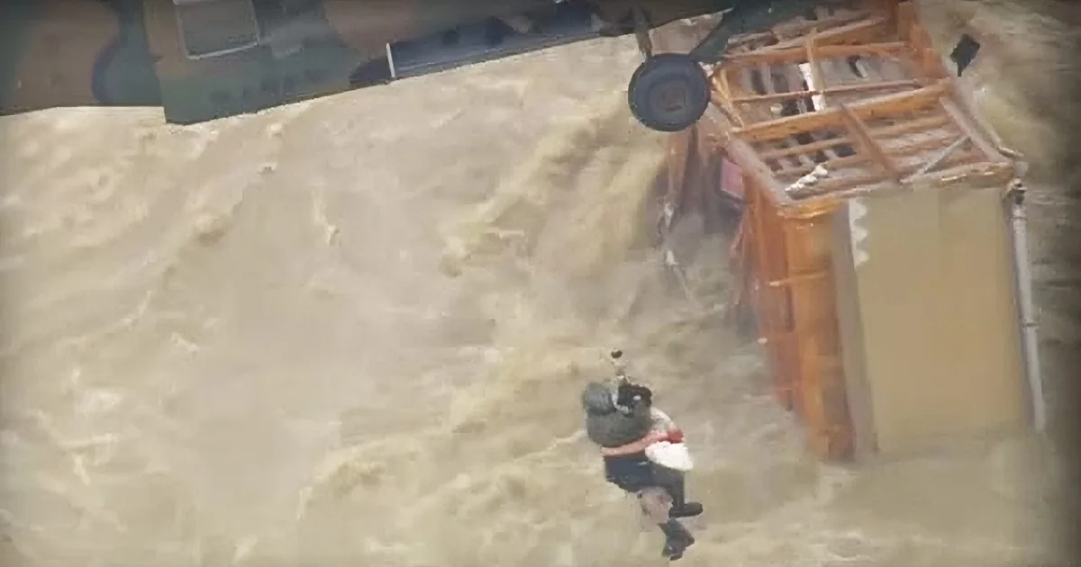 Elderly Couple Refuses to Abandon Dogs During Flood, Even if It Means Putting Their Own Lives at Risk