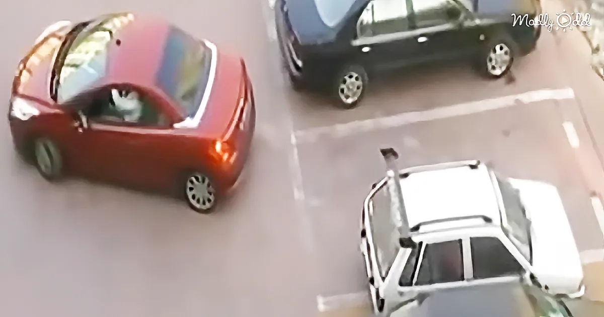 A red car is driving on a road, with a black car and a white vehicle parked nearby.