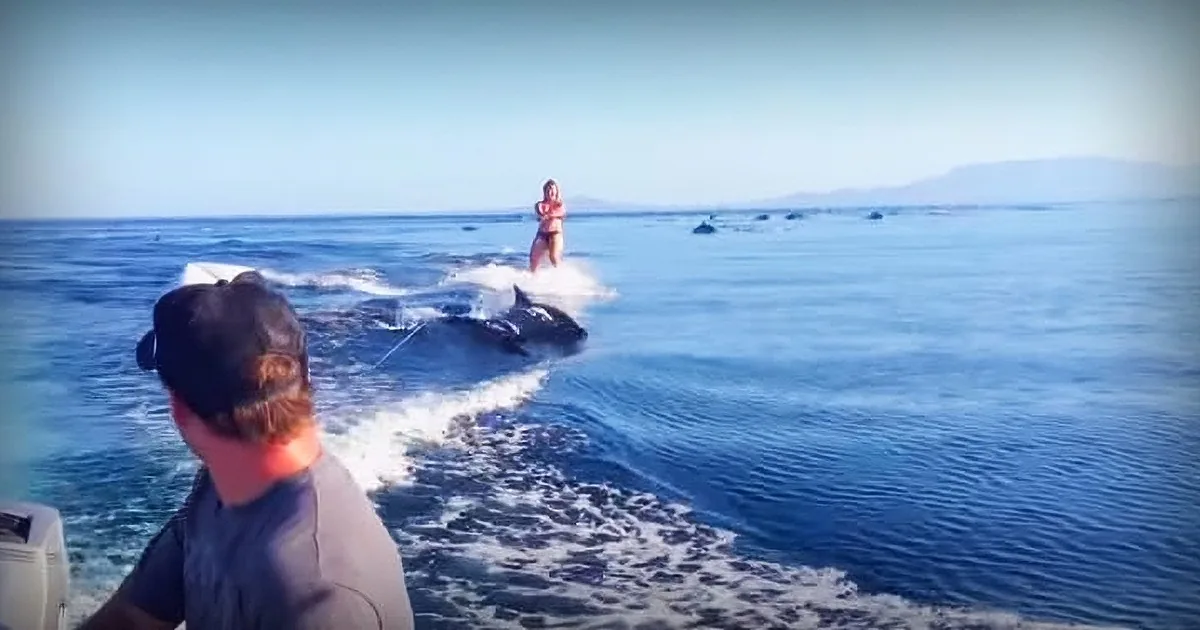 Girl Was Just Casually Waterskiing, but When She Looked Down Her Heart Skipped a Beat