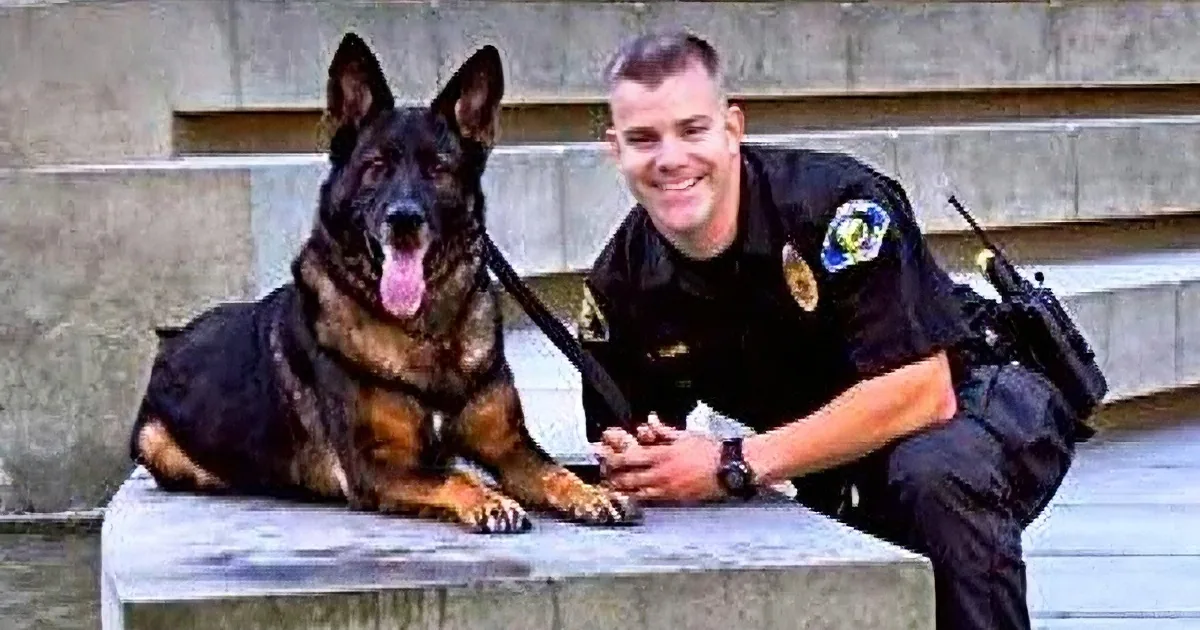 Police Dog Is Shot in the Line of Duty. His Reaction When Seeing His Cop Friend Is Priceless