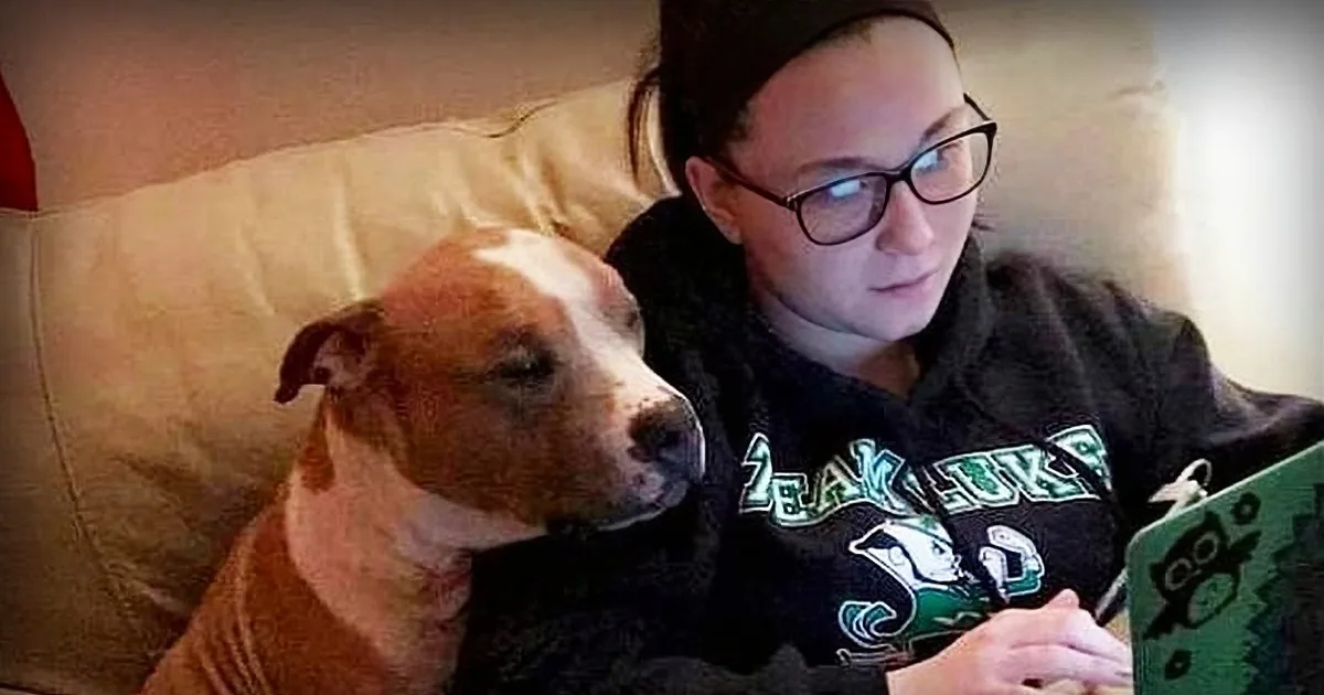 Woman Saves Dog From the Shelter Who Can''t Stop Snuggling With Her
