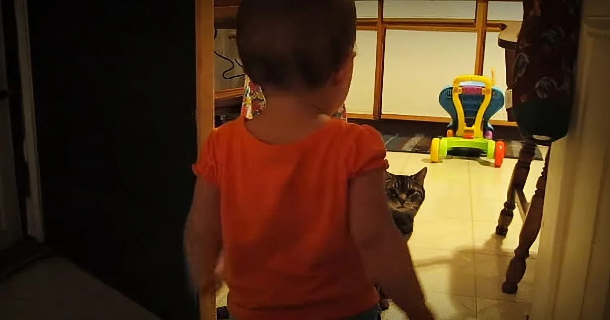 Nobody Believed Dad When He Described His Baby''s Morning Routine With the Cat so He Captured This