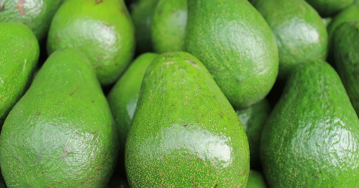Farmer Shares Secret That Keeps Avocados From Going Bad