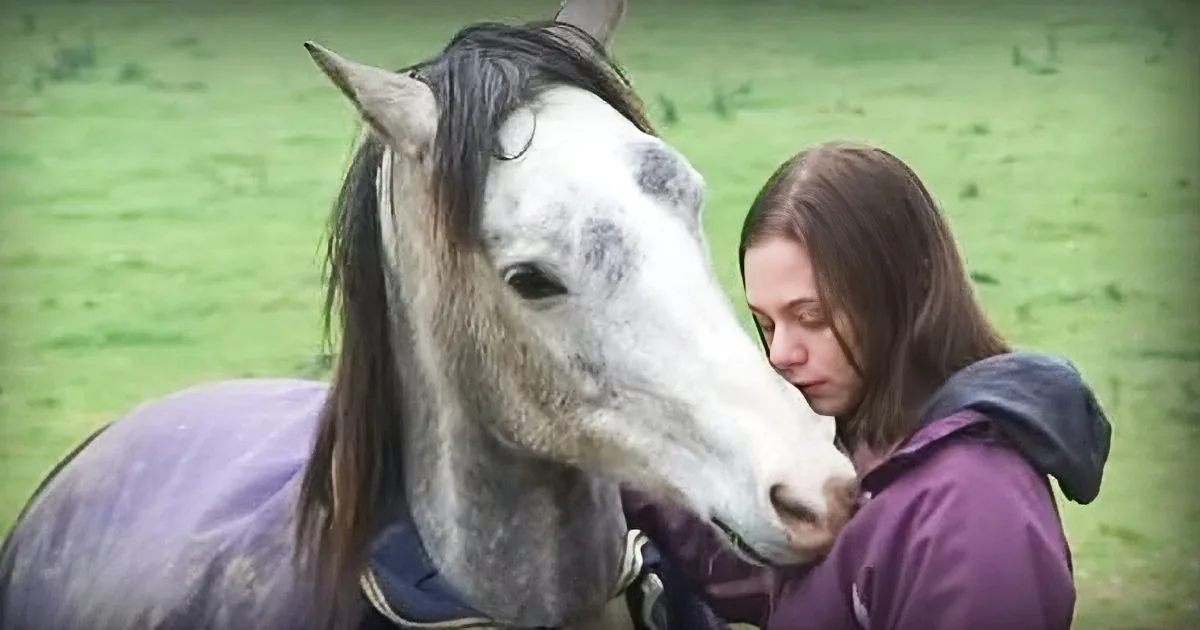 She Was Away for Weeks. Now Watch the Horse''s Reaction When He Sees Her. Cute!