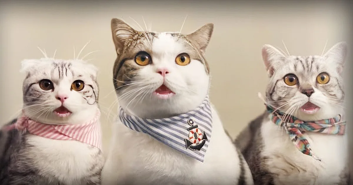 Company Employed Gangster Cats for Their Commercial. It's the Funniest Thing You've Ever Seen