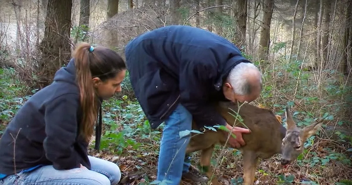 A man and woman crouch in a forest, interacting with a deer and a fawn.