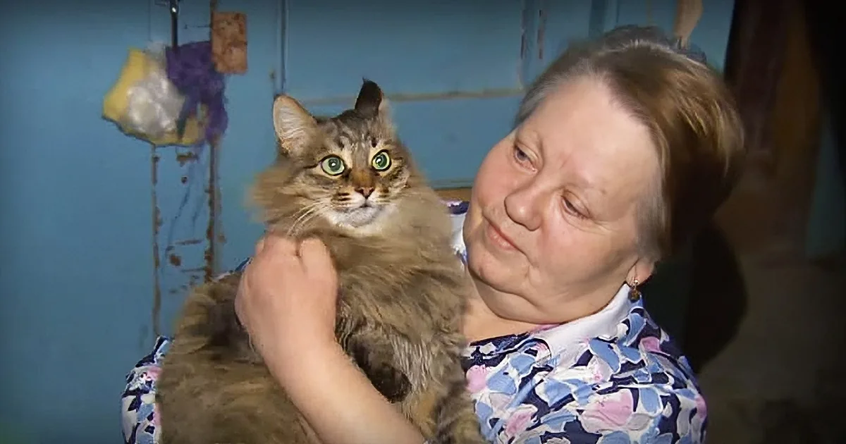 A woman holds a fluffy cat with striking green eyes, both looking directly at the camera.