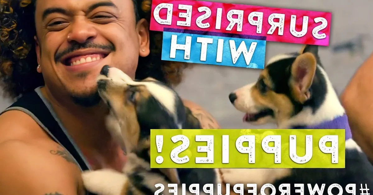 For Every View of This Video a Pound of Dog Food Was Donated to Shelters!