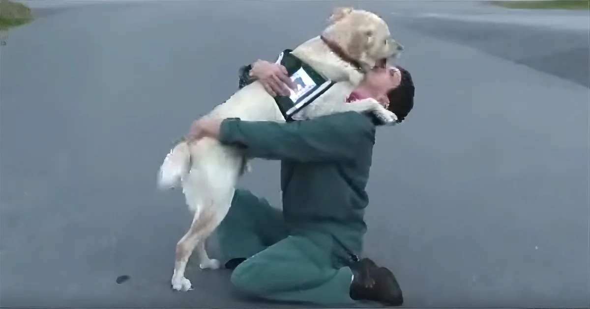 A man in a green outfit kneels on a road, holding and embracing a light-colored dog.