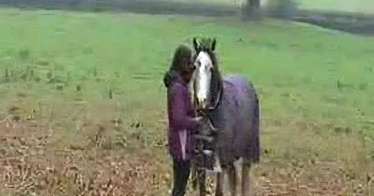 She''s Been Away for Weeks. the Horse''s Reaction When He Sees Her Is Totally Cute!