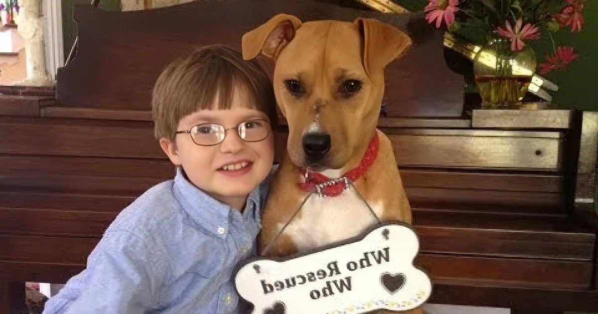 Mom Brings Home a Rescued Pit Bull. See the Amazing Effect the Dog Has on Their Autistic Son