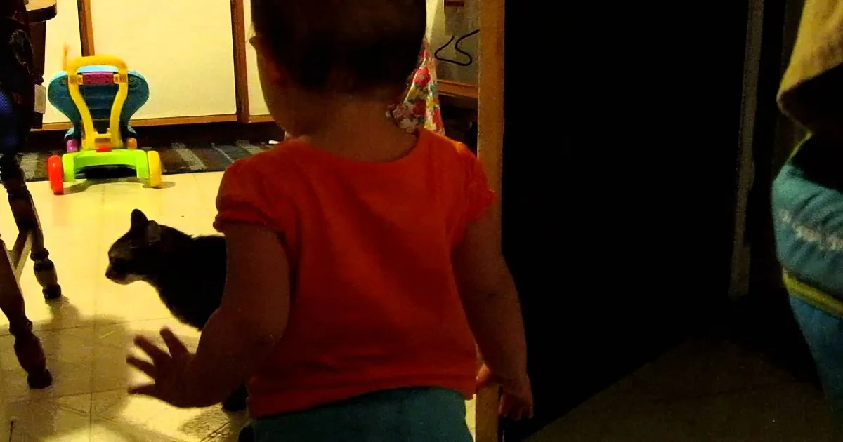 Dad Captures the Morning Routine Between His Daughter and the Cat -- and It''s Totally Adorable