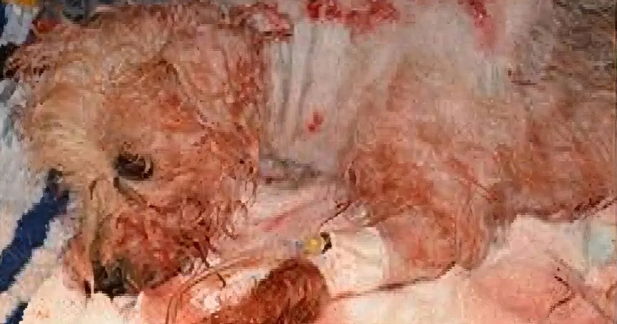 Monster Stabs a Dog 19 Times -- Just One Month Later, Her Transformation Shocks Everyone