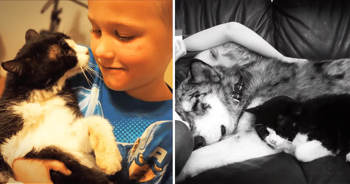A Beautiful Tribute to a Beloved Family Member