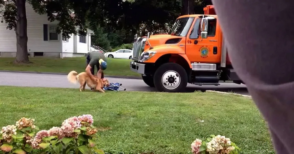 A man pets a dog near a parked orange truck on a suburban street.
