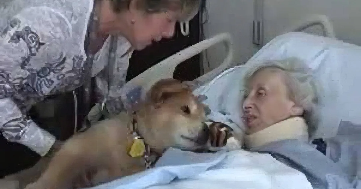 ''Dying Woman Held a 19 Year-Old Service Dog Close: Dog''s Next Move Brought Everyone to Tears''