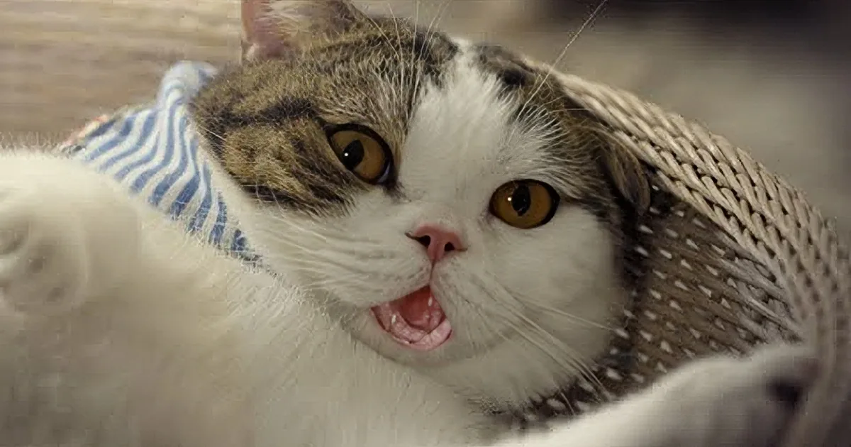 ''An Offer You Can''t Refuse: a Company Employed Gangster Cats for Their Commercial''
