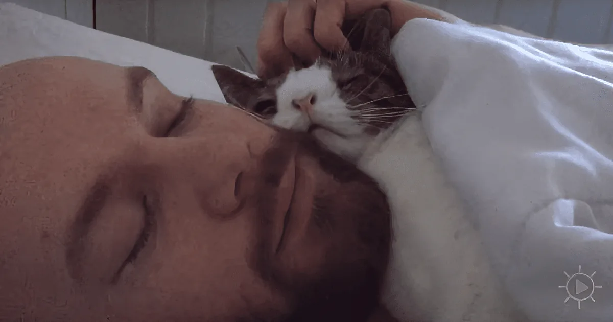 A person is lying down with a cat resting on their face, both appearing relaxed.