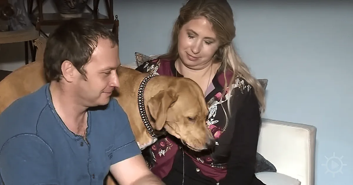 A man and woman are sitting with a dog, both smiling, in a cozy indoor setting.