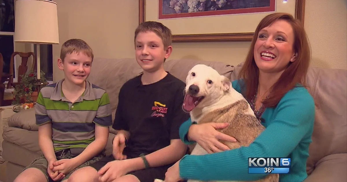 Beloved Puppy Stolen, Then Found: the Best Christmas Gift Ever