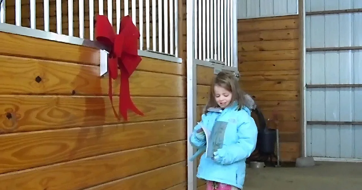 Santa Makes an Exception and a Little Girl Gets the Best Gift Ever