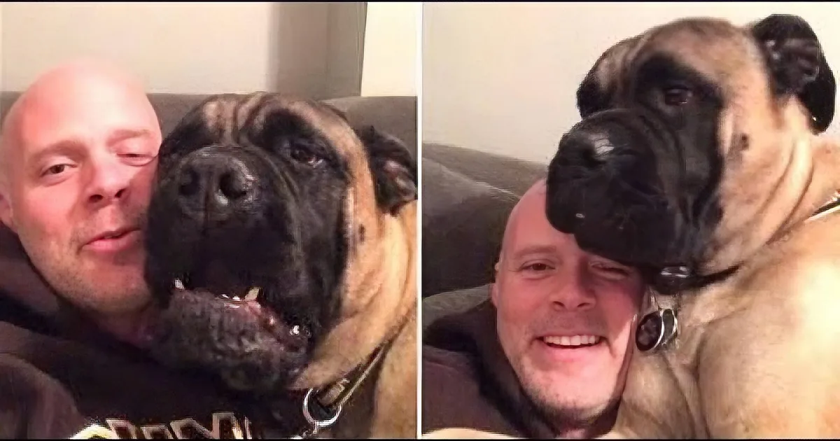 What''s a Dog to Do When His Human Starts Singing Christmas Carols?