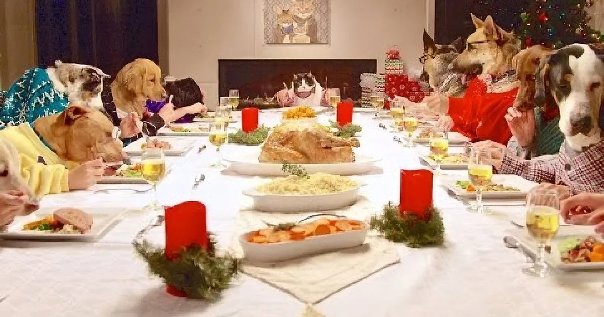 It Was Only a Matter of Time Before Christmas Dinner Went to the Dogs...