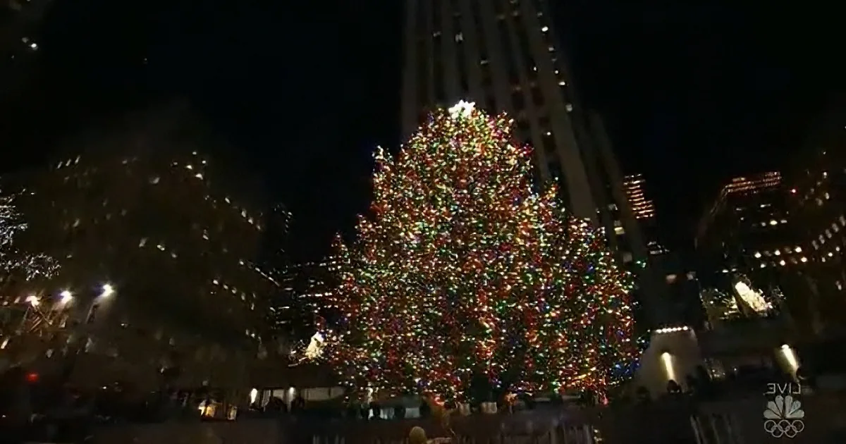 A large, brightly lit Christmas tree stands in a city square, surrounded by tall buildings at night.