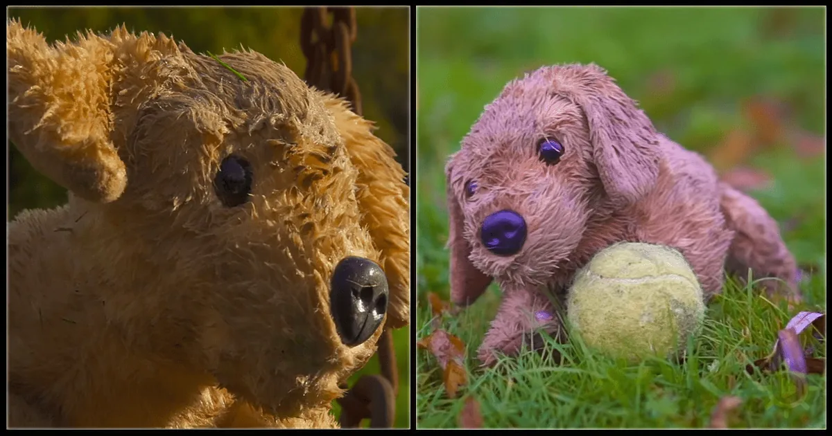 Two wet stuffed dogs, one with a black nose, the other with a purple nose, play with a tennis ball in grass.