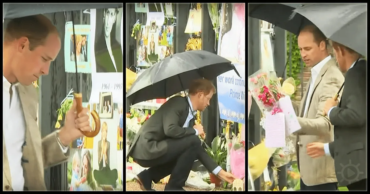 20 Years After Her Death, Diana''s Sons Pay Tribute to Their Mom