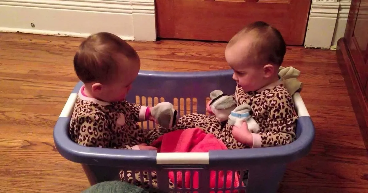 Two babies in a laundry basket, both wearing leopard print outfits, holding stuffed animals.